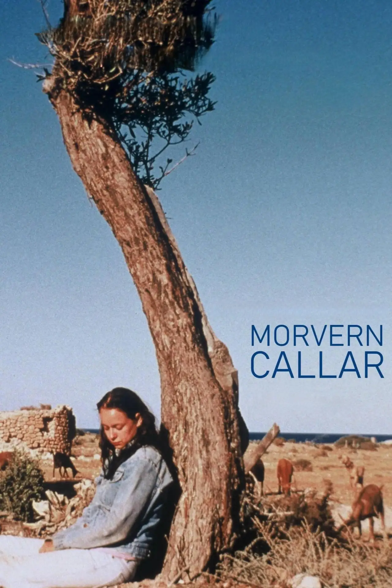 Plakat filmowy "Morvern Callar"