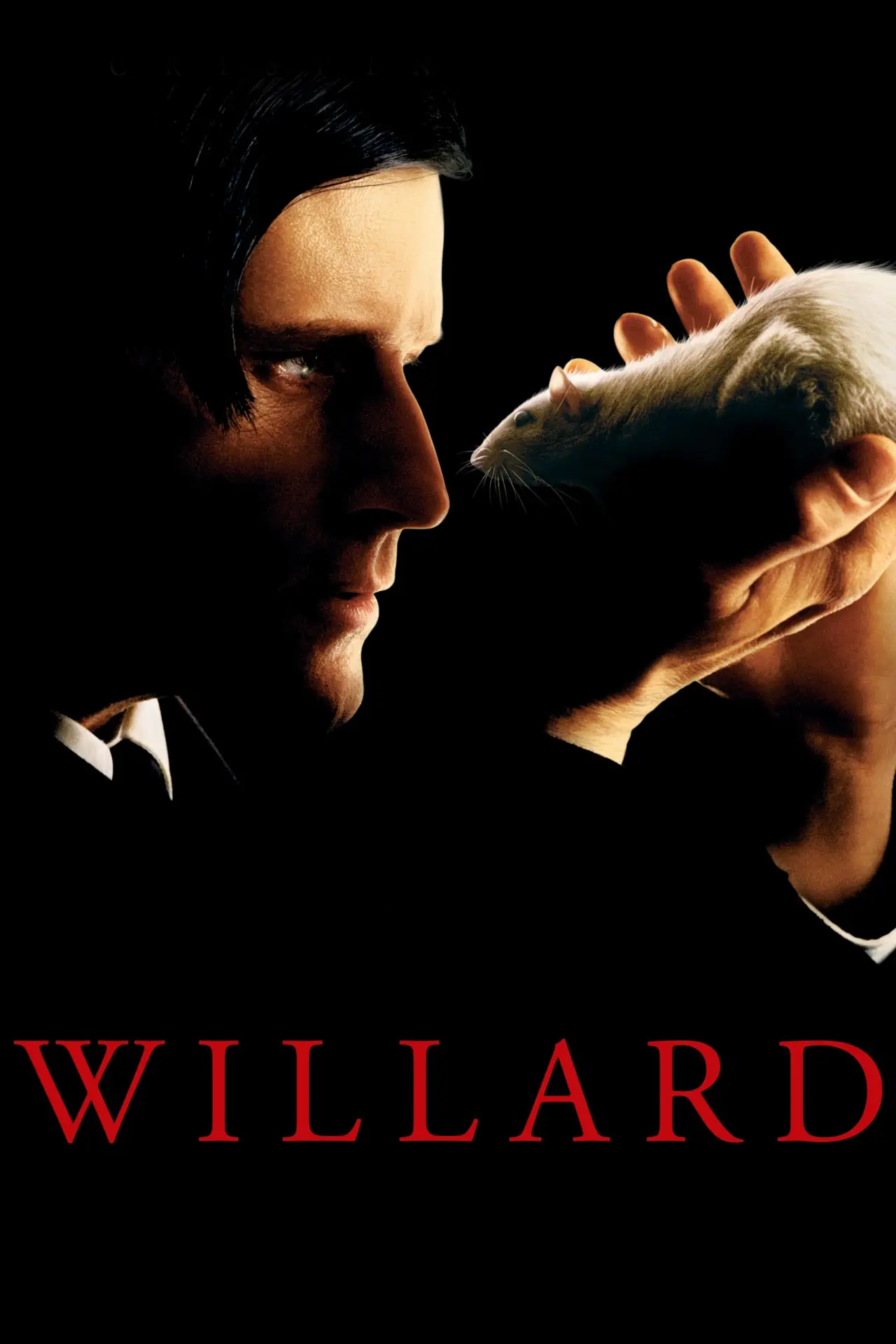 Plakat filmowy "Willard"