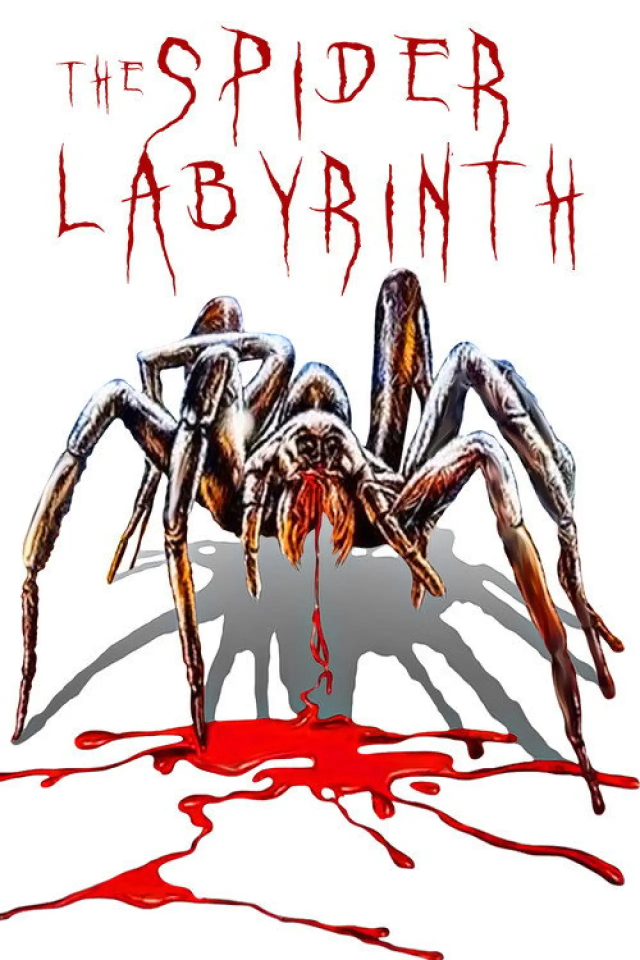 Plakat filmowy "The Spider Labyrinth"