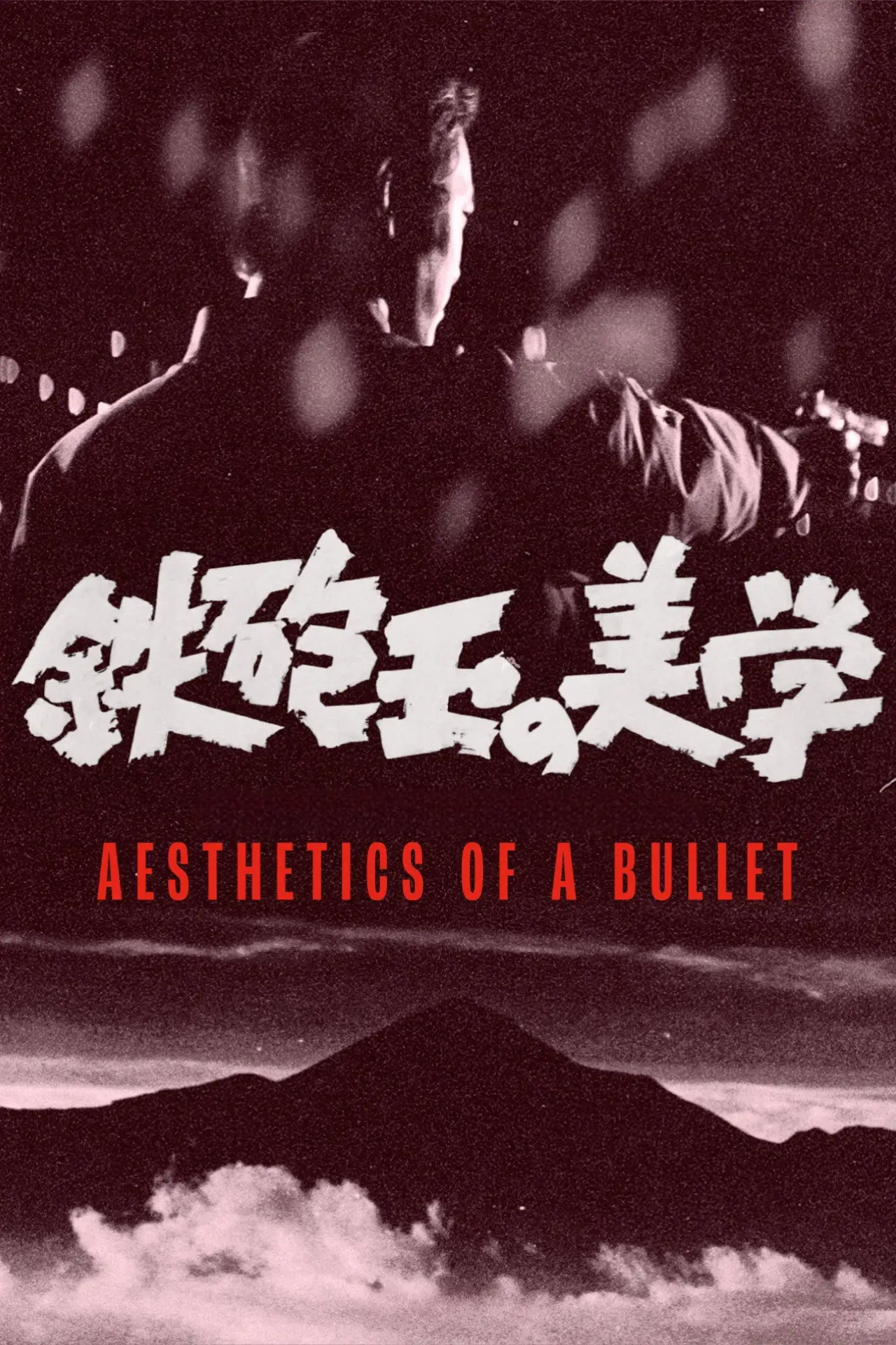 Plakat filmowy "鉄砲玉の美学 　"