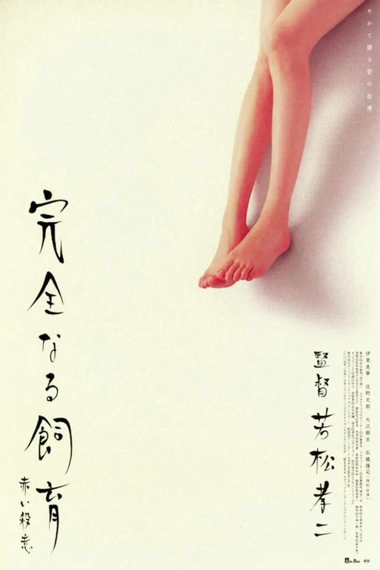 Plakat filmowy "Doskonała edukacja 6"