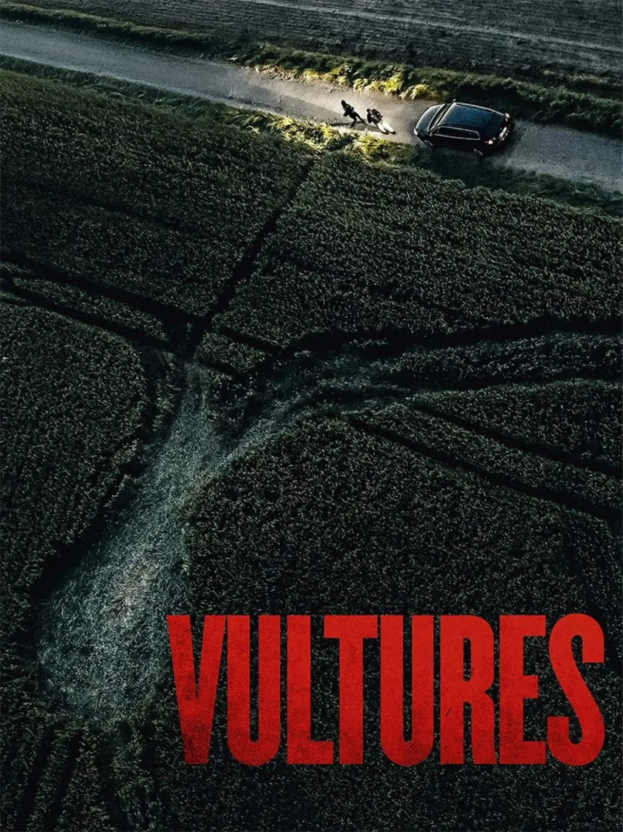 Plakat filmowy "Rapaces"