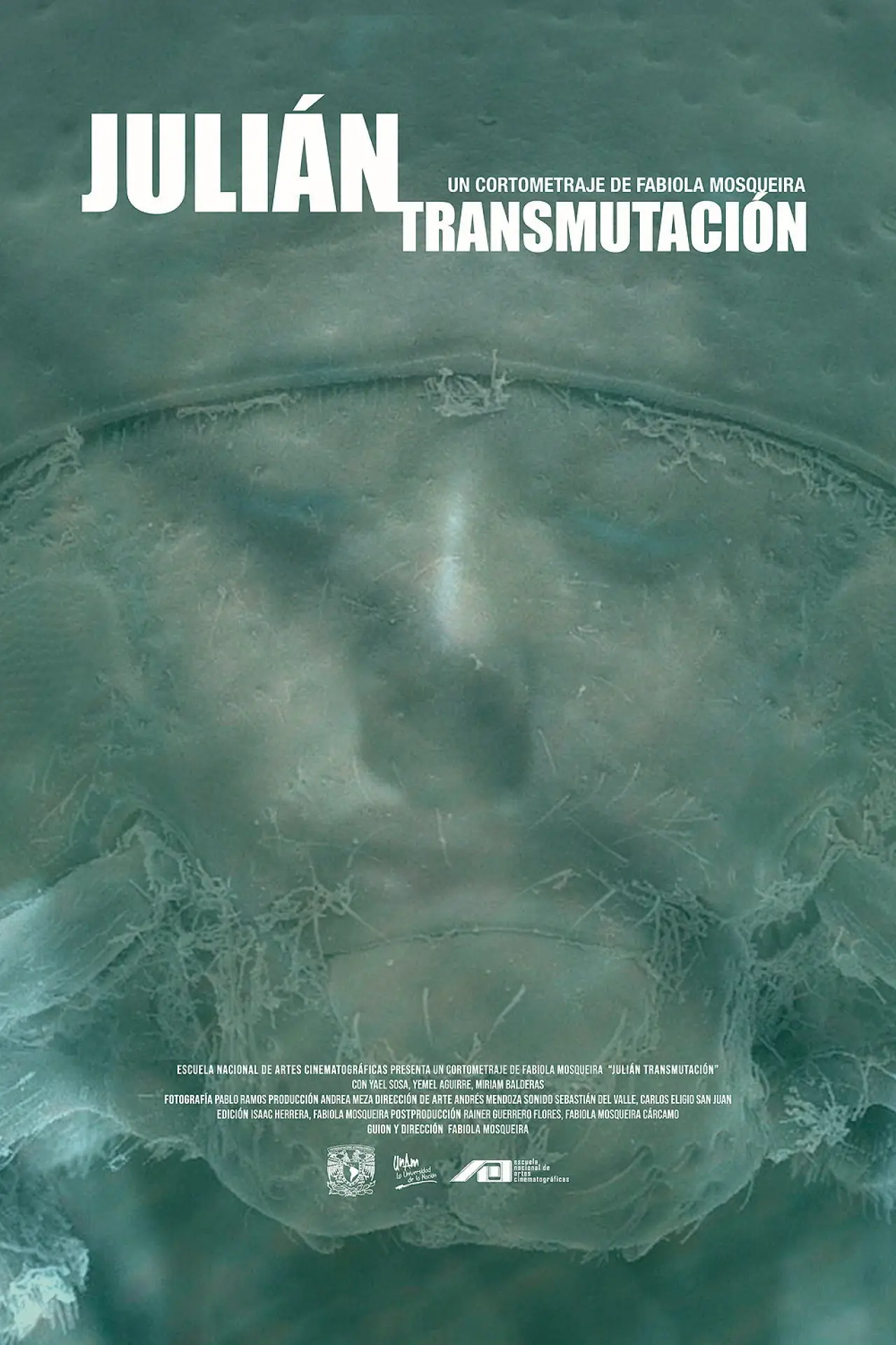 Plakat filmowy "Julián (Transmutación)"