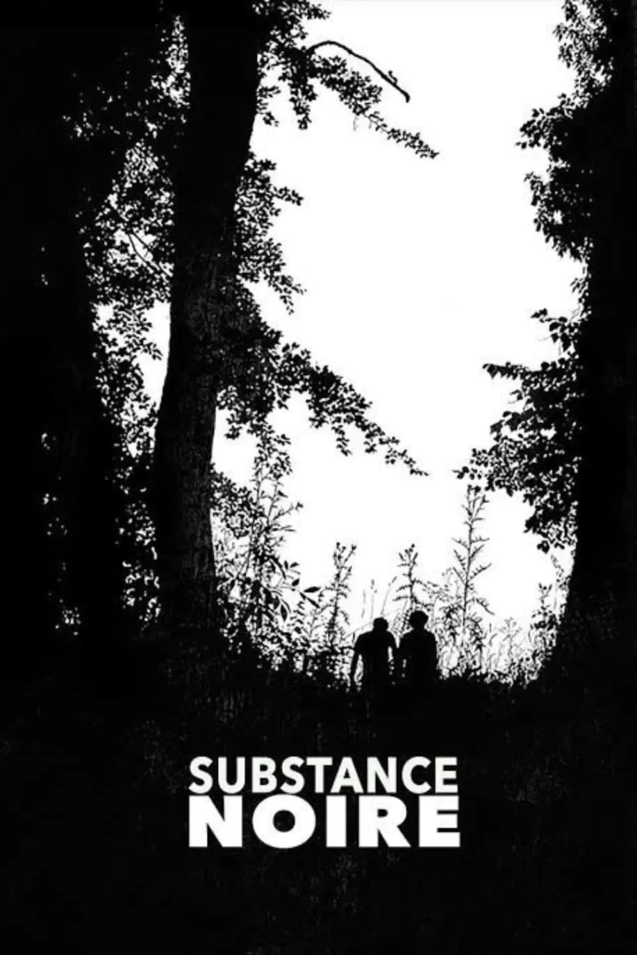 Plakat filmowy "Substance noire"