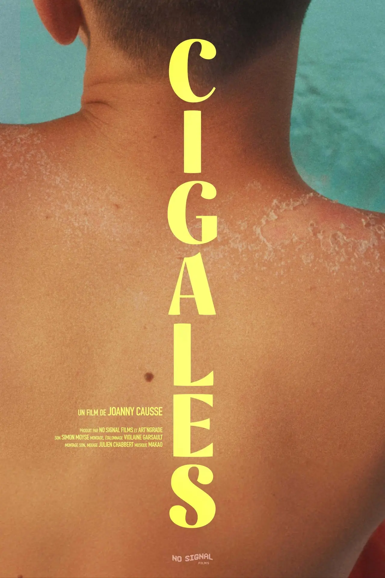 Plakat filmowy "Cigales"
