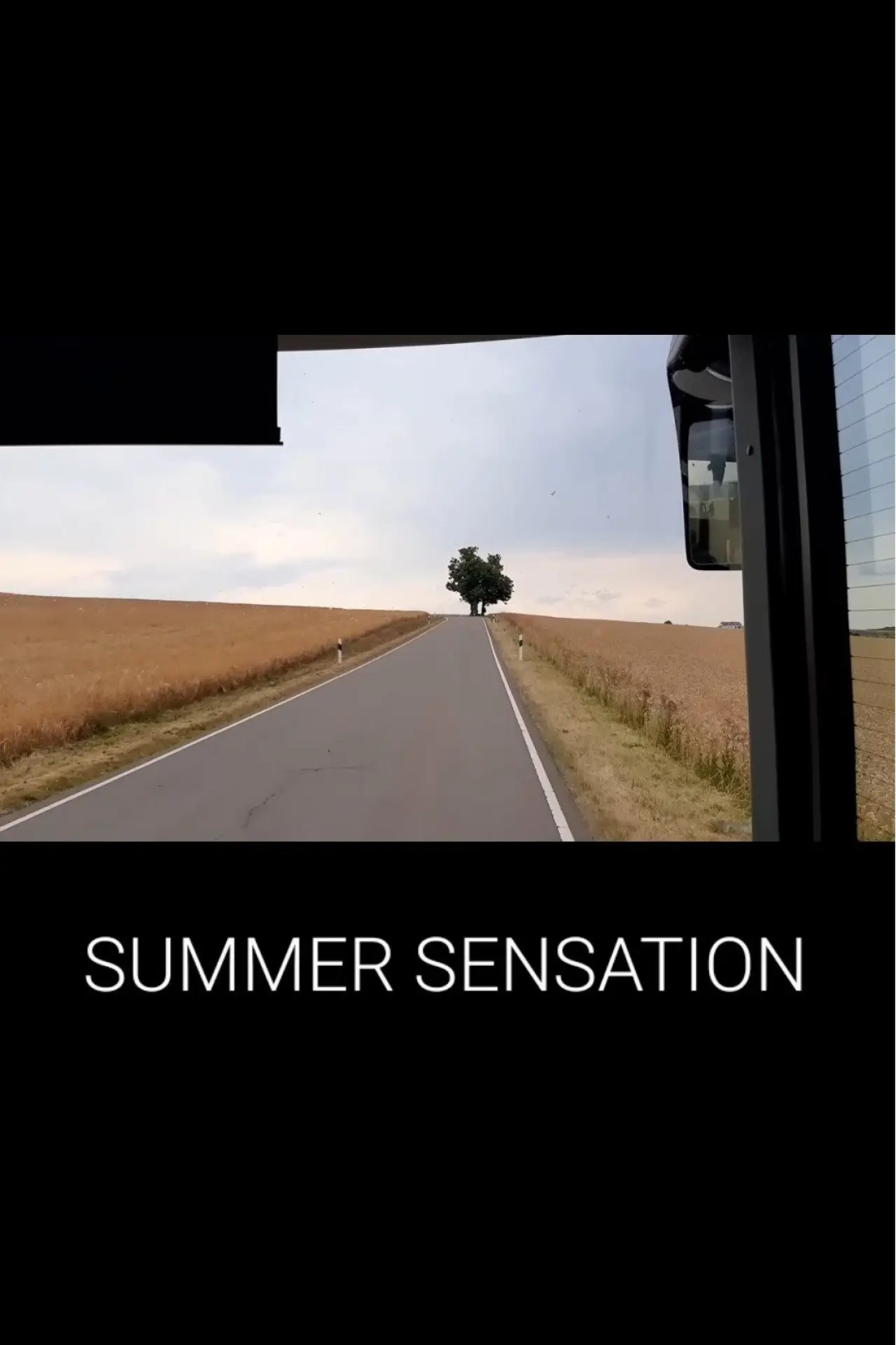 Plakat filmowy "Summer Sensation"