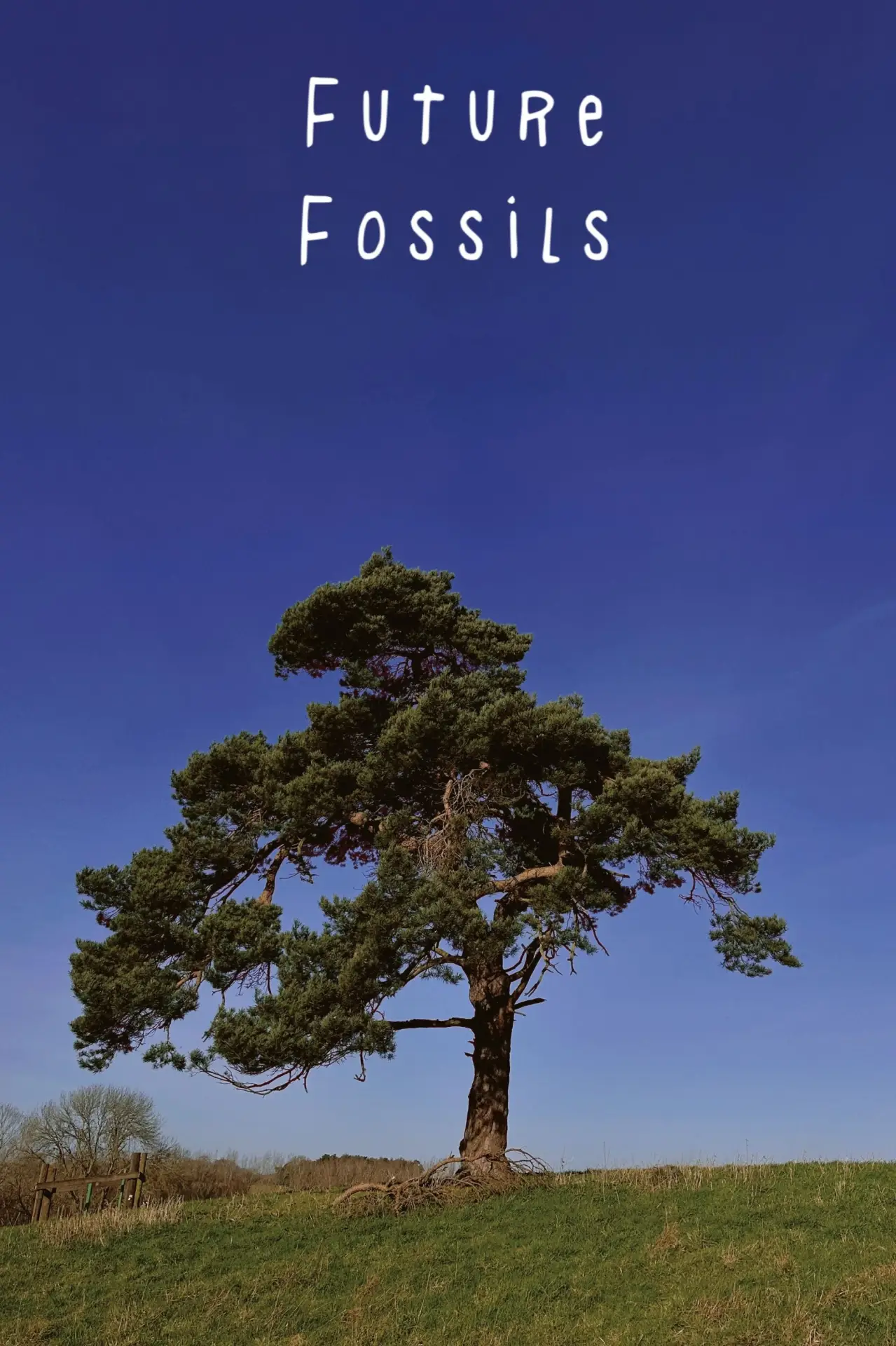 Plakat filmowy "Future Fossils"