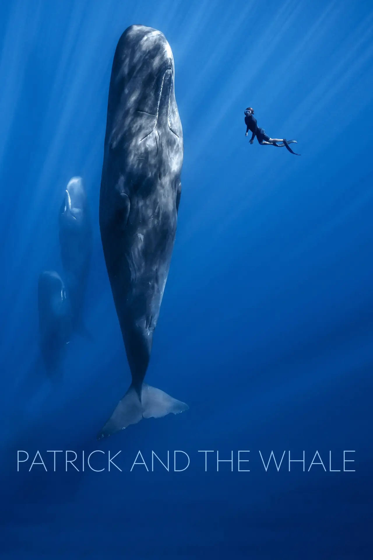 Plakat filmowy "Patrick and the Whale"