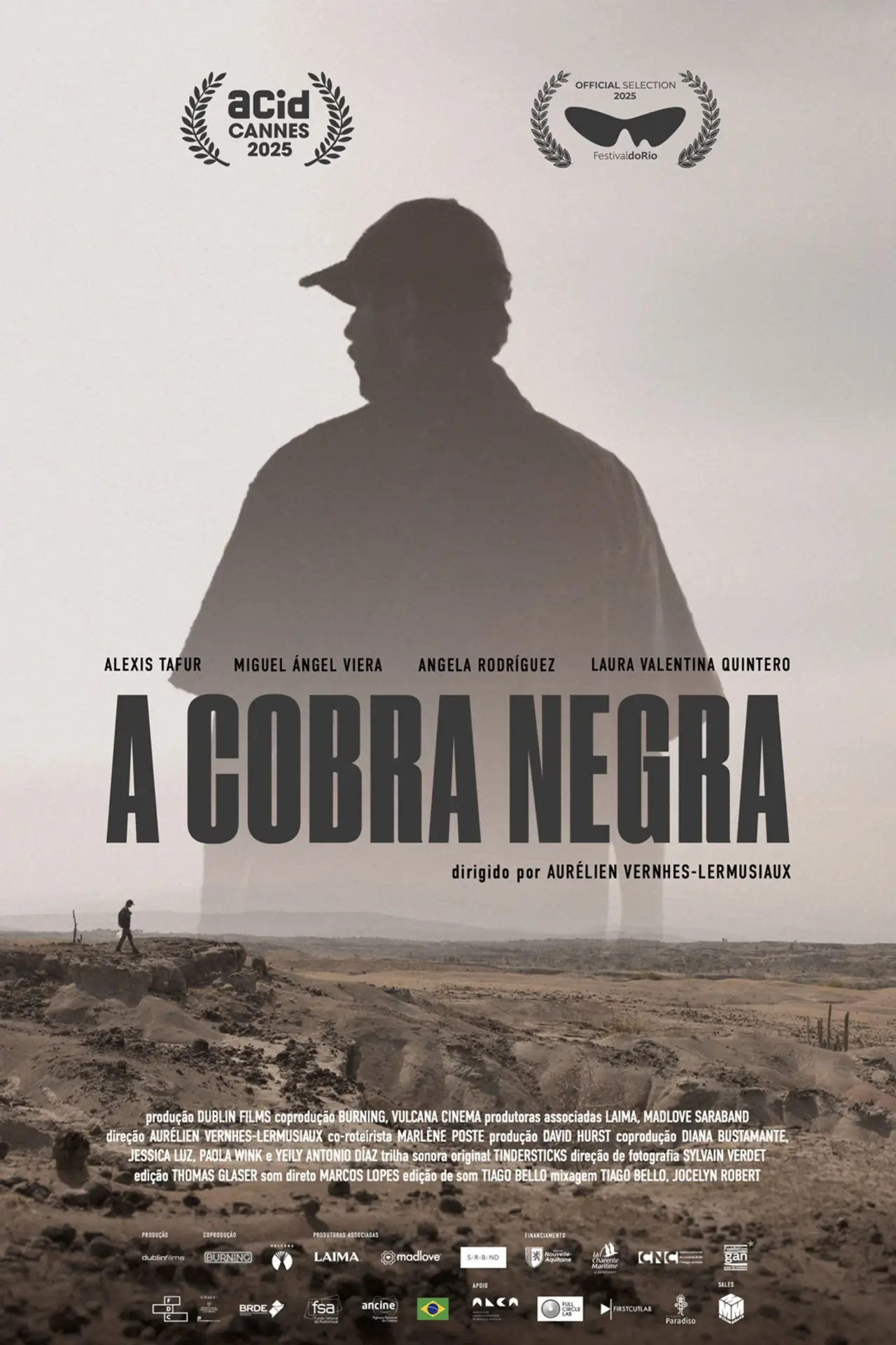 Plakat filmowy "La couleuvre noire"
