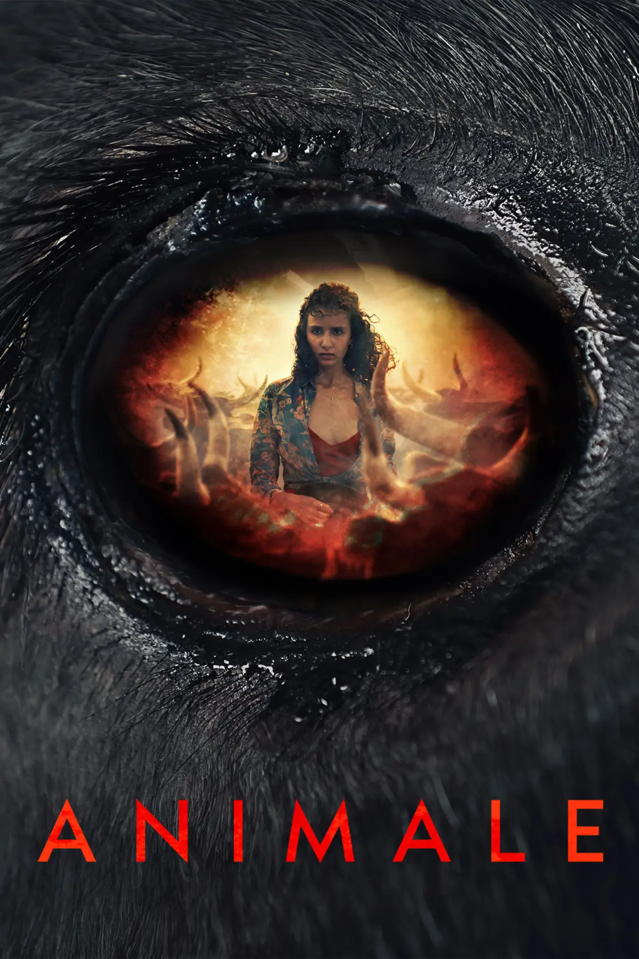 Plakat filmowy "Zwierzę"