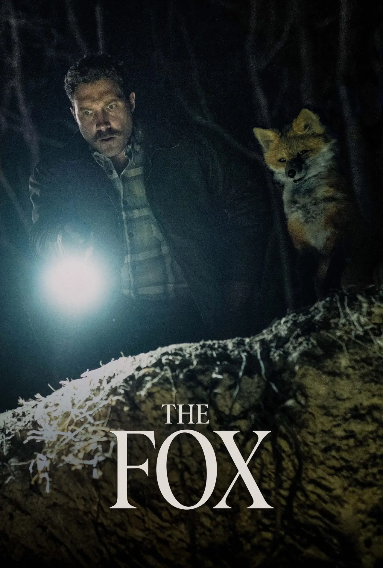 Plakat filmowy "The Fox"