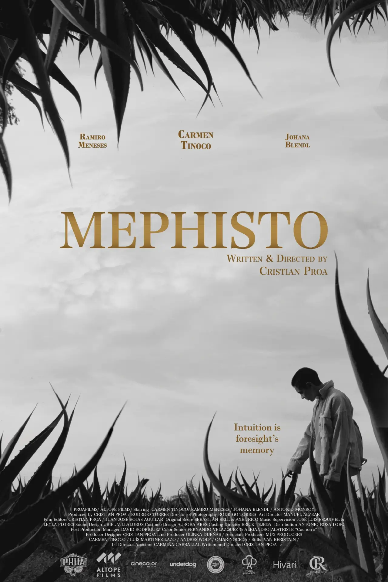 Plakat filmowy "Mephisto"