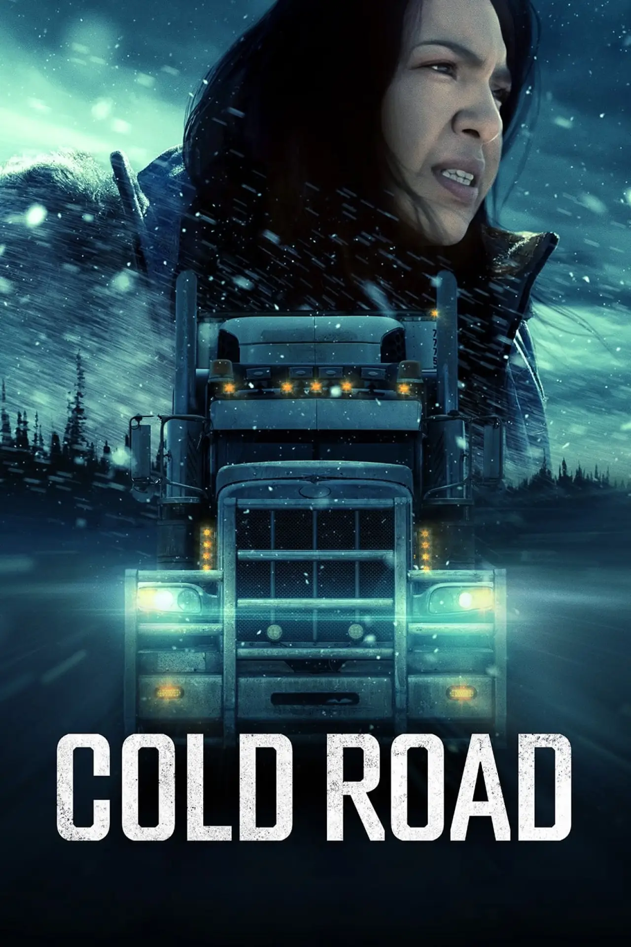 Plakat filmowy "Cold Road"