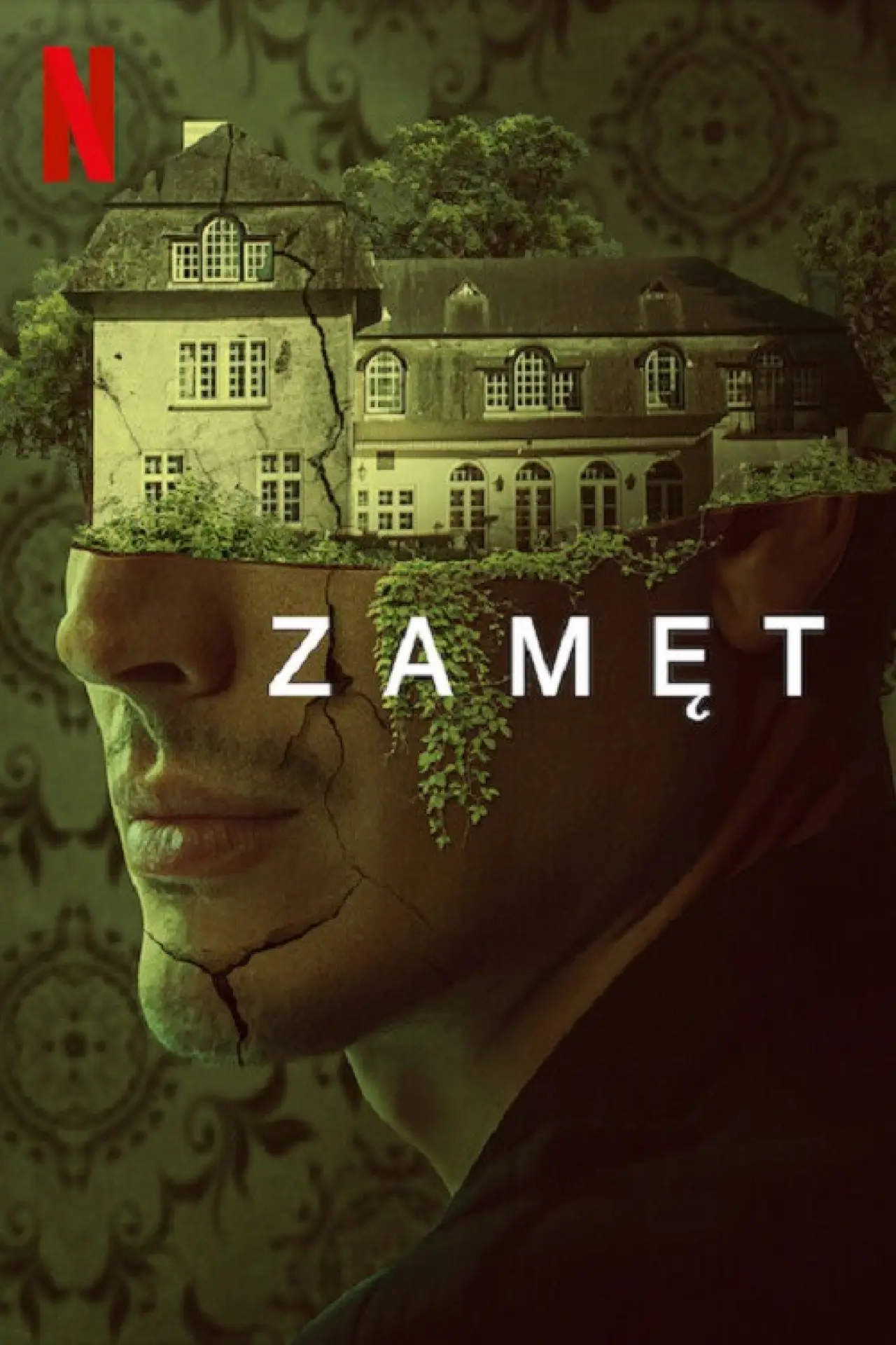 Plakat filmowy "Zamęt"