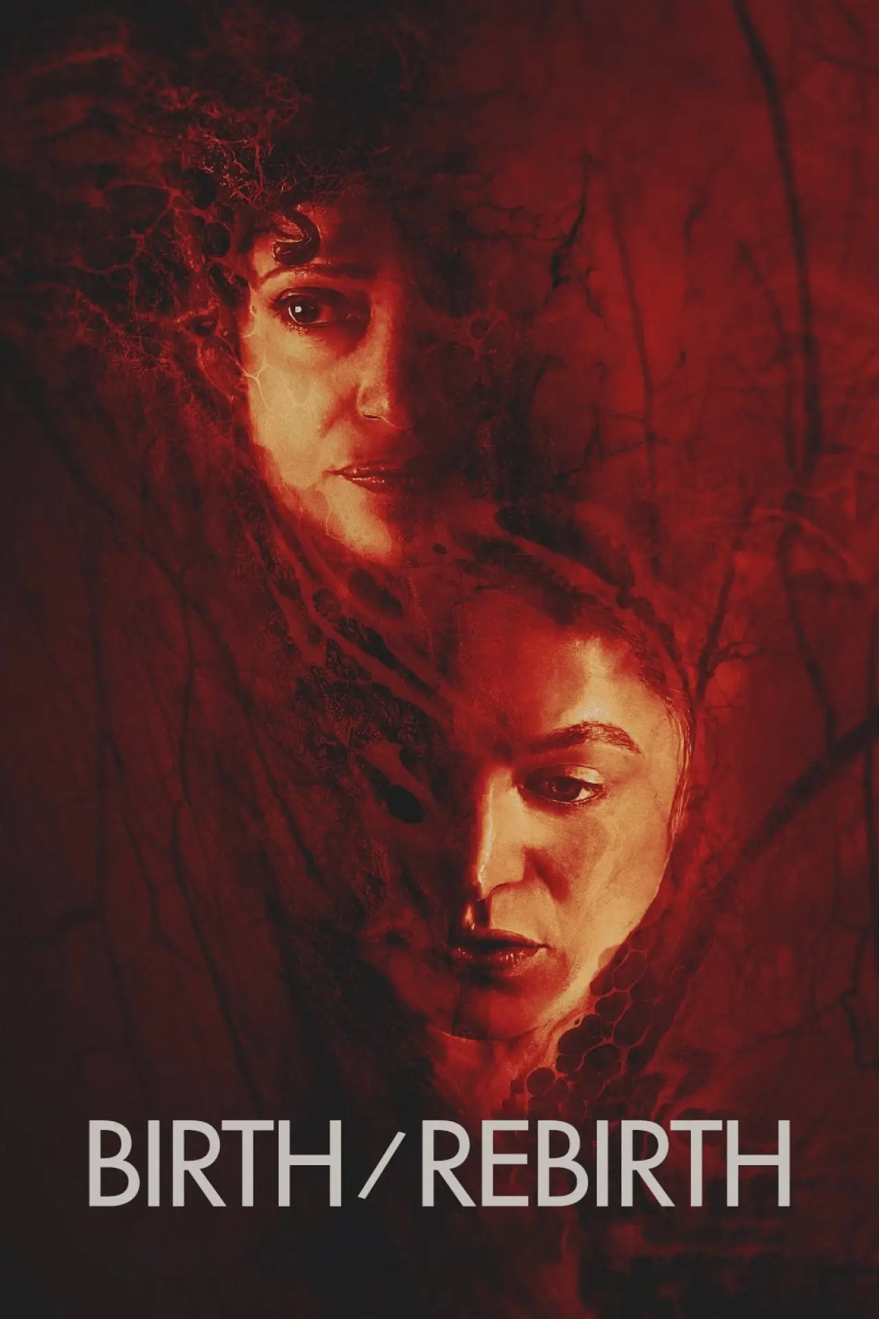 Plakat filmowy "Birth/Rebirth"