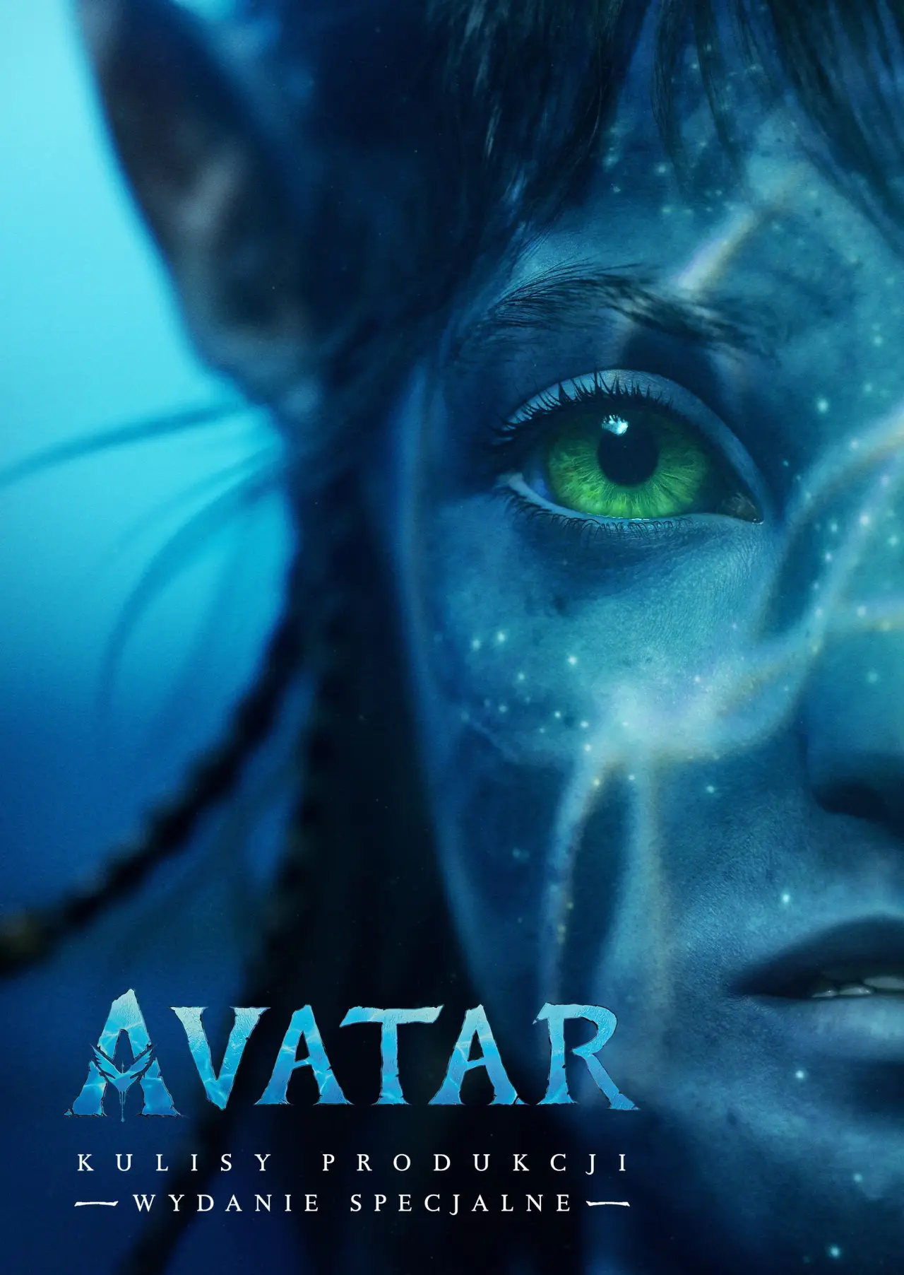 Plakat filmowy "Avatar: Kulisy produkcji - wydanie specjalne"