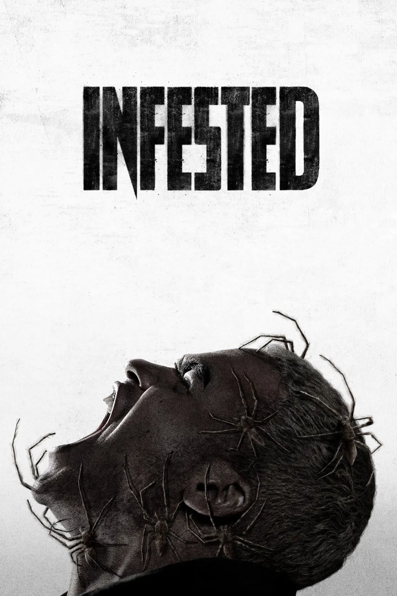 Plakat filmowy "Robactwo"