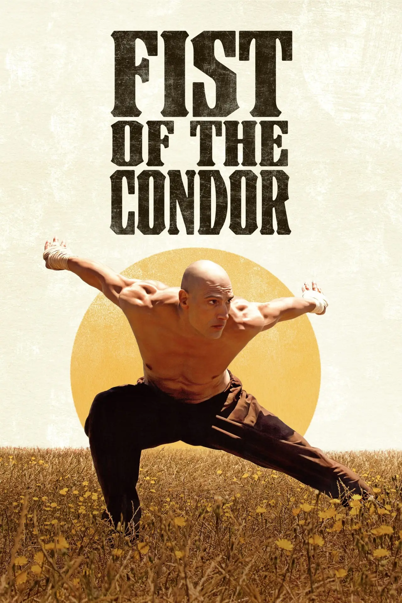 Plakat filmowy "Pięść Kondora"