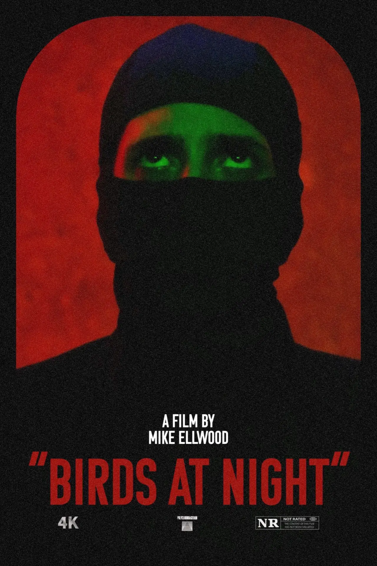 Plakat filmowy "Birds at Night"