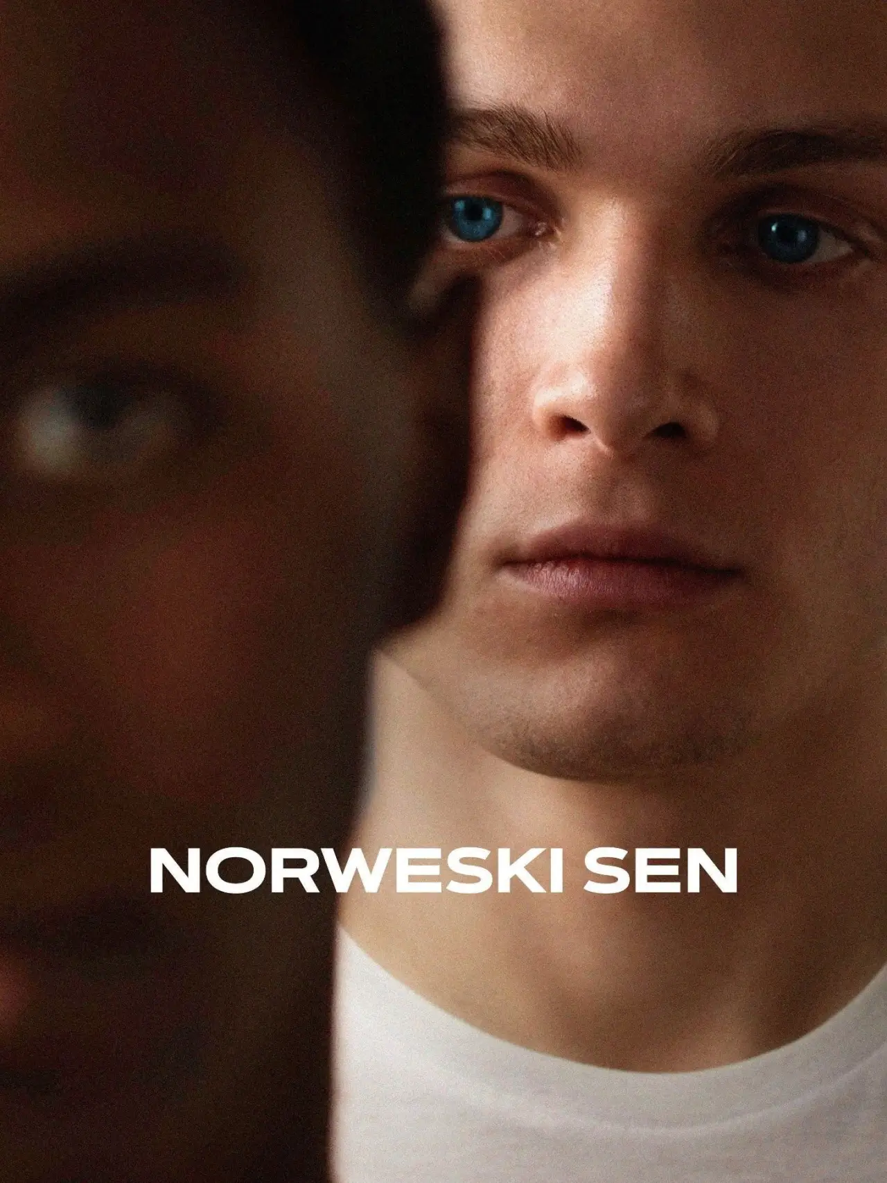 Plakat filmowy "Norwegian Dream"