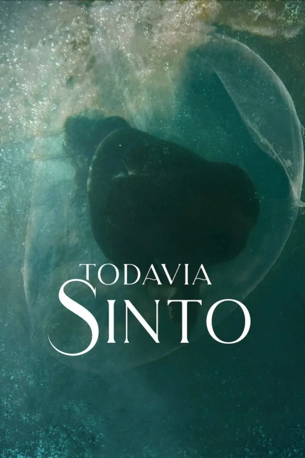Plakat filmowy "Todavia Sinto"