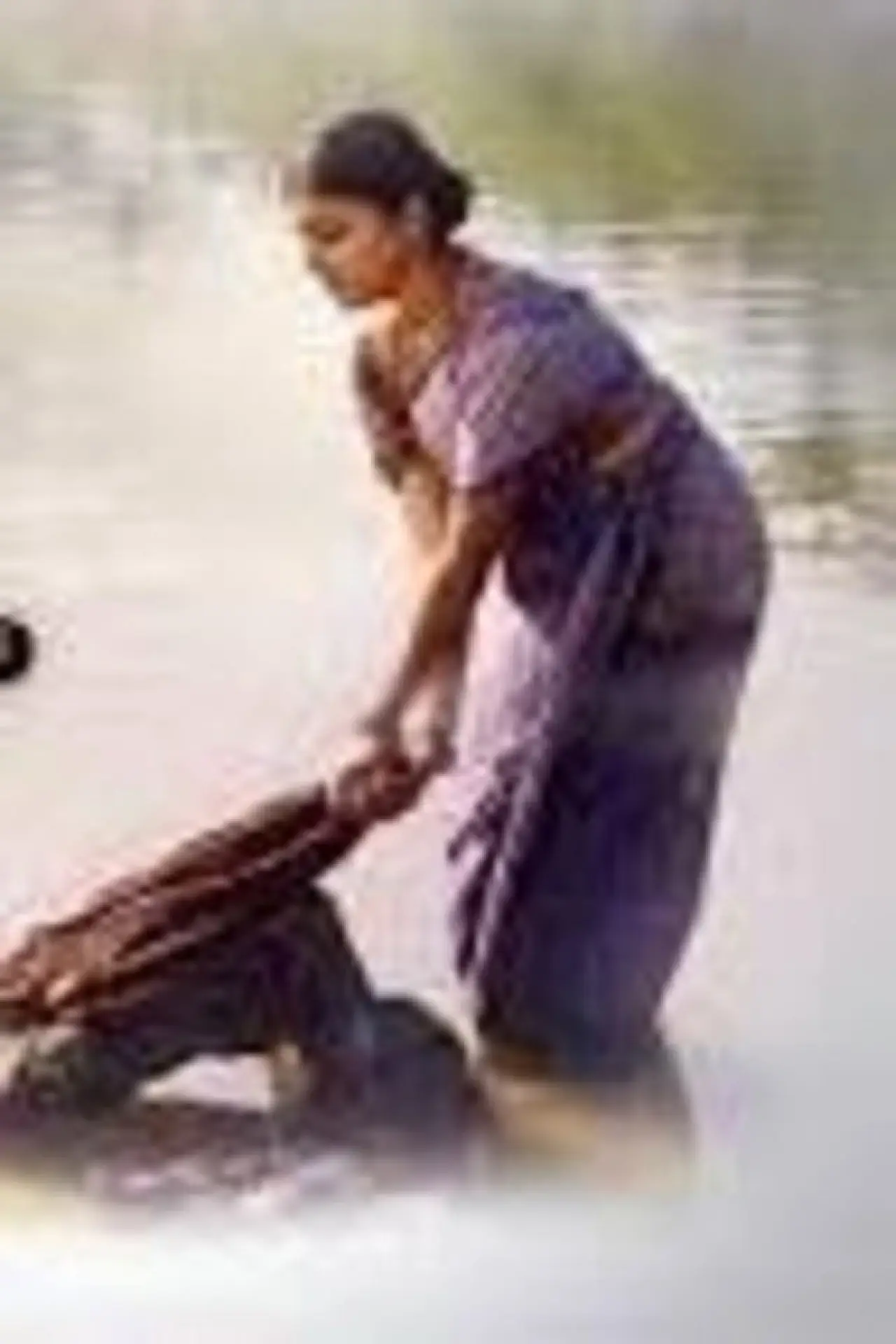 Plakat filmowy "ନୀଳ ମାଷ୍ଟରାଣୀ"
