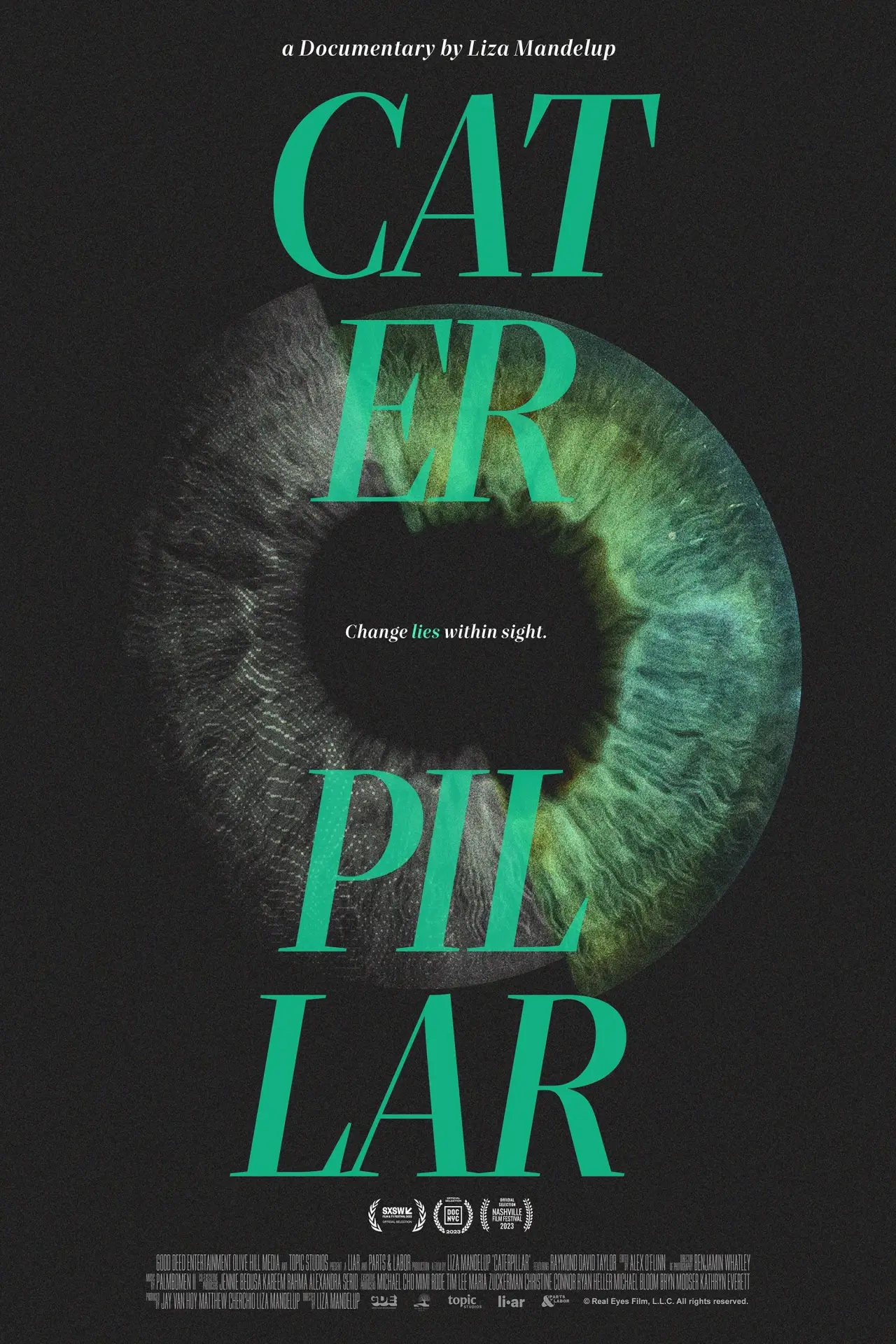 Plakat filmowy "Caterpillar"