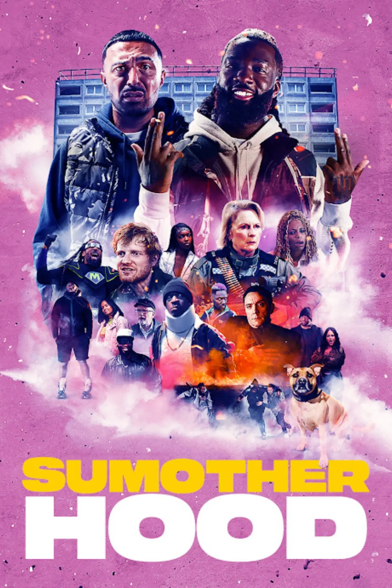 Plakat filmowy "Sumotherhood"