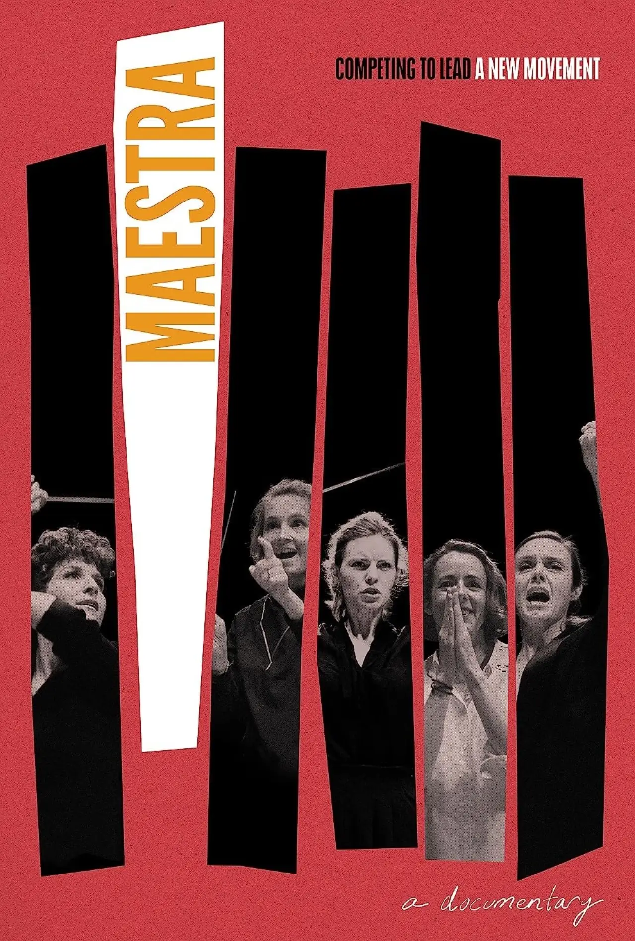 Plakat filmowy "Maestra"