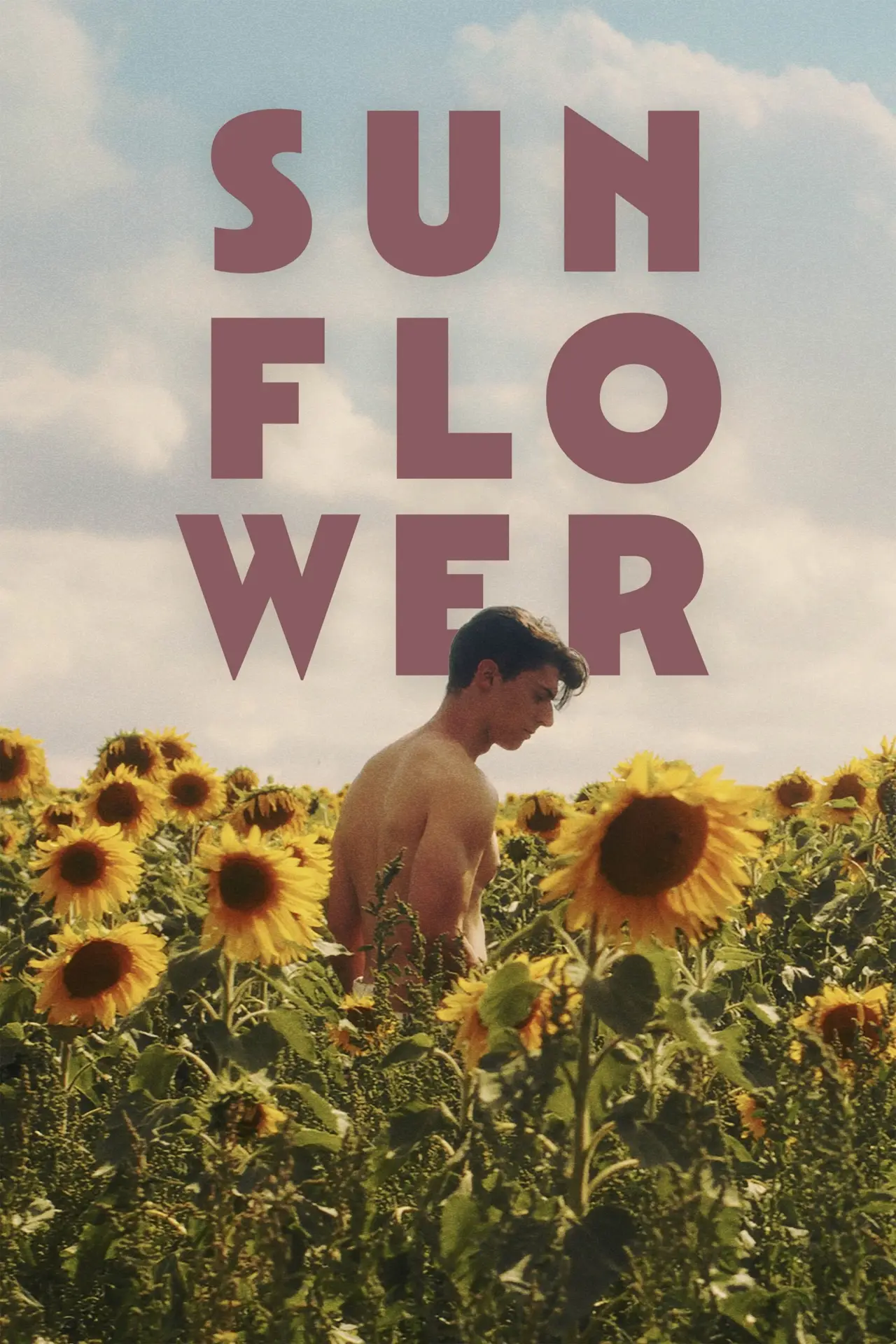 Plakat filmowy "Sunflower"