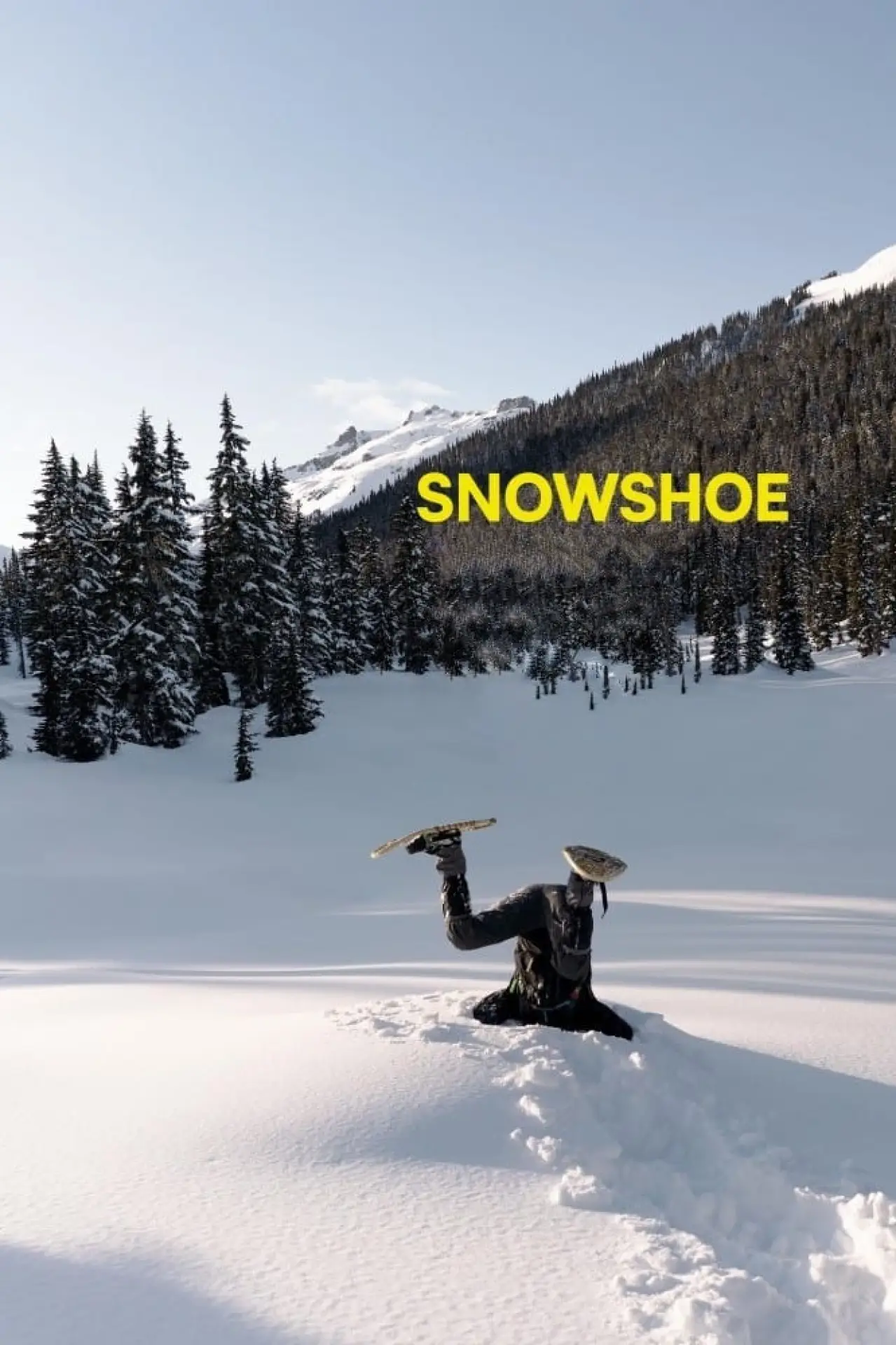 Plakat filmowy "Snowshoe"