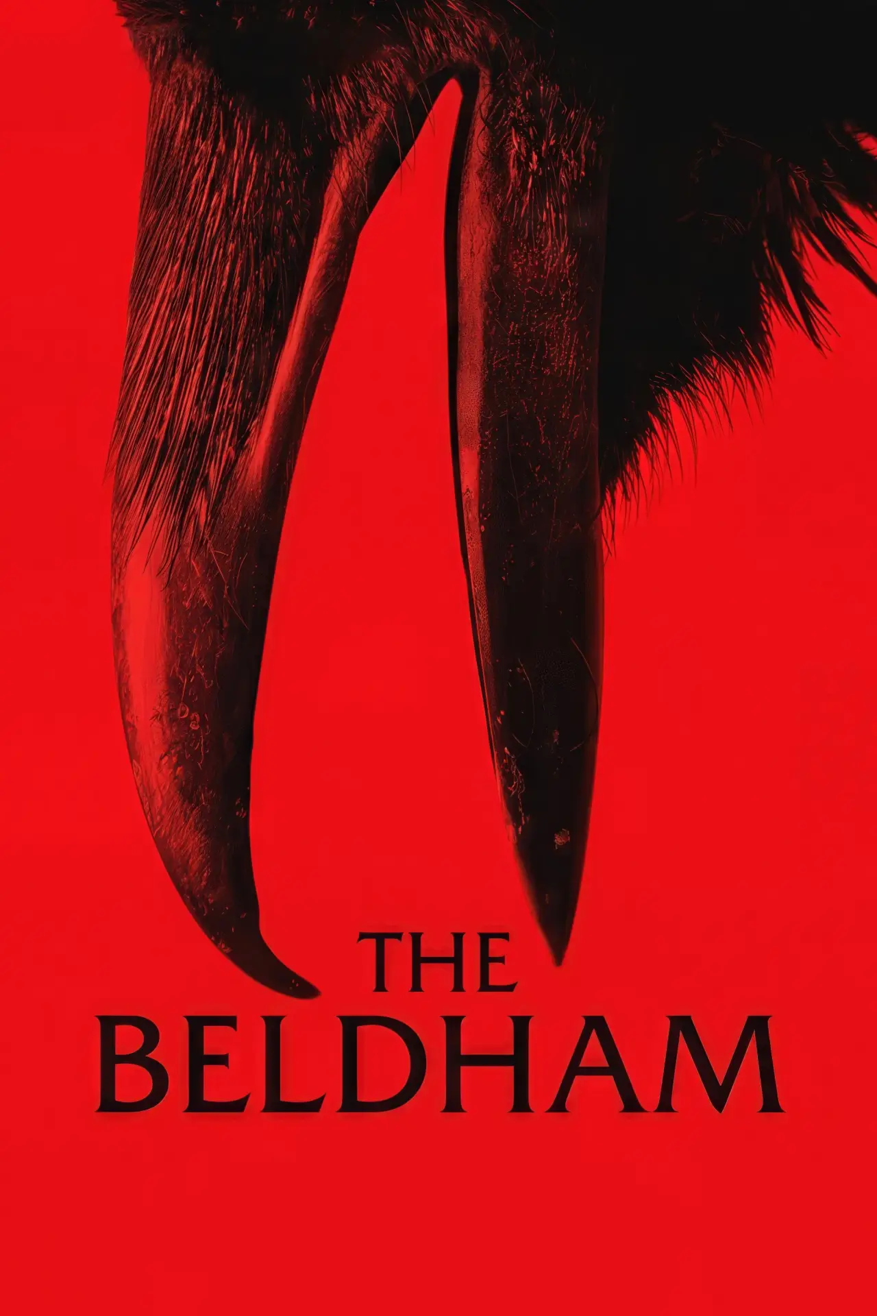 Plakat filmowy "The Beldham"