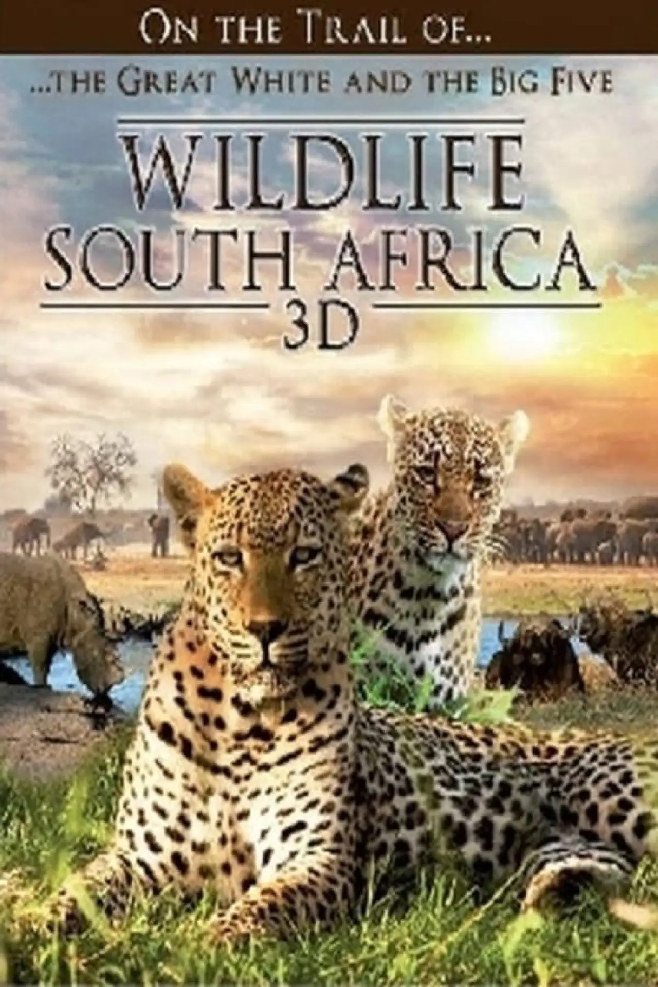 Plakat filmowy "Wildlife Südafrika 3D"