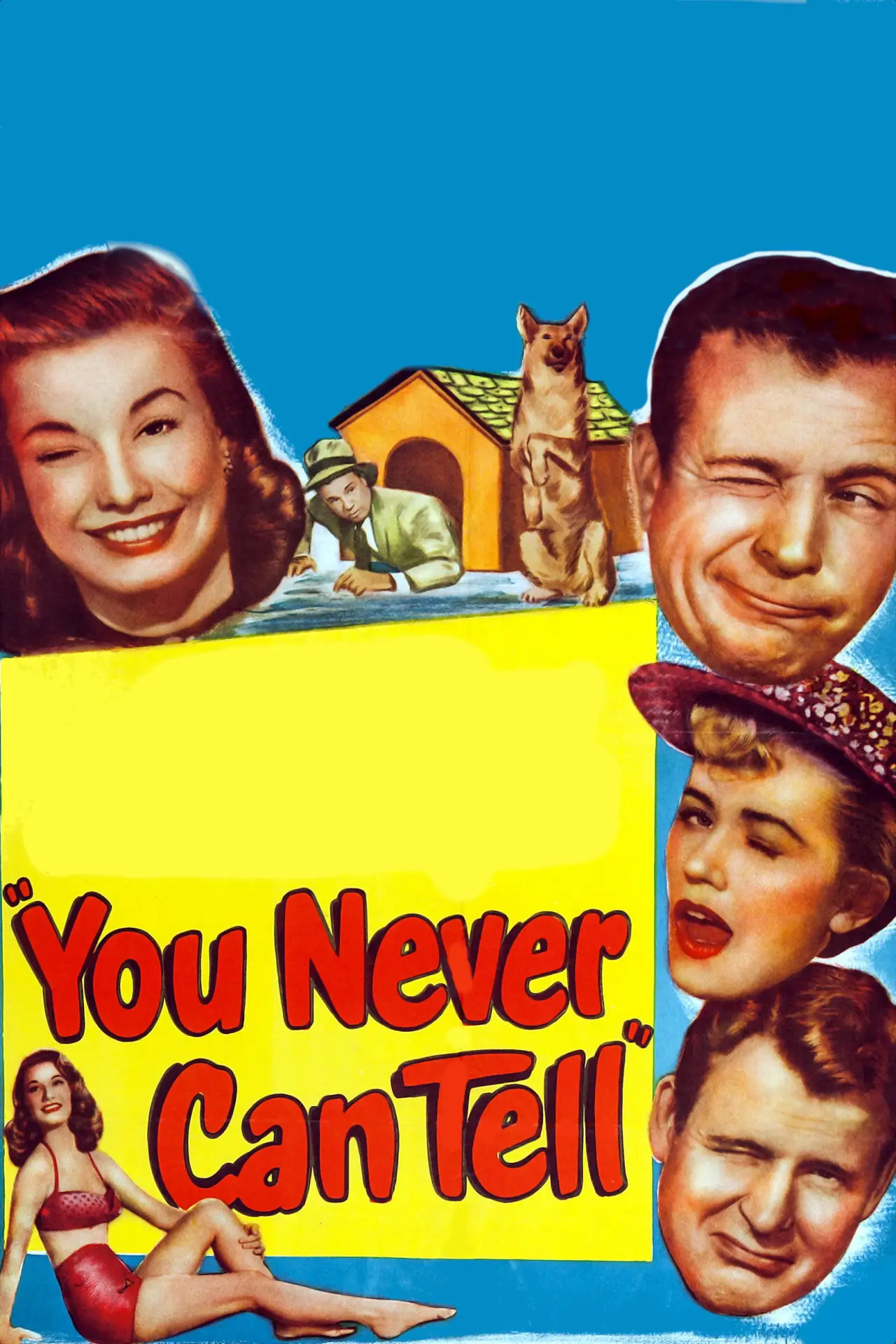 Plakat filmowy "You Never Can Tell"