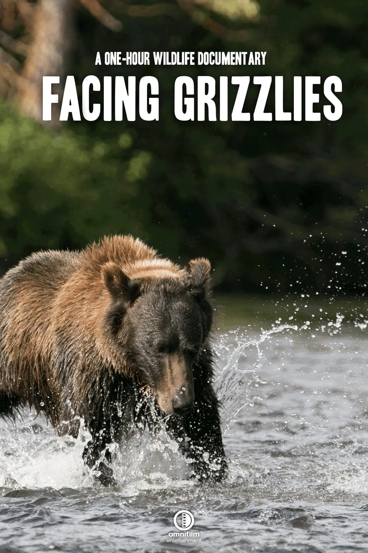 Plakat filmowy "Facing Grizzlies"
