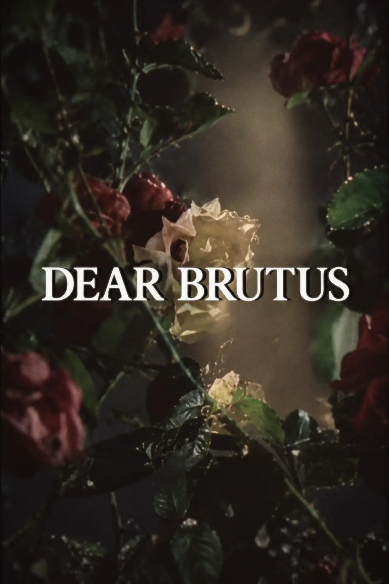 Plakat filmowy "Dear Brutus"