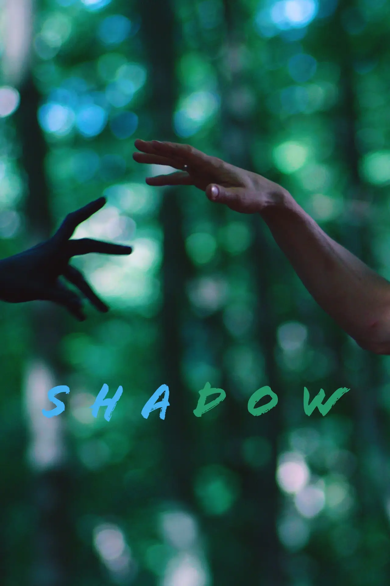 Plakat filmowy "Shadow"