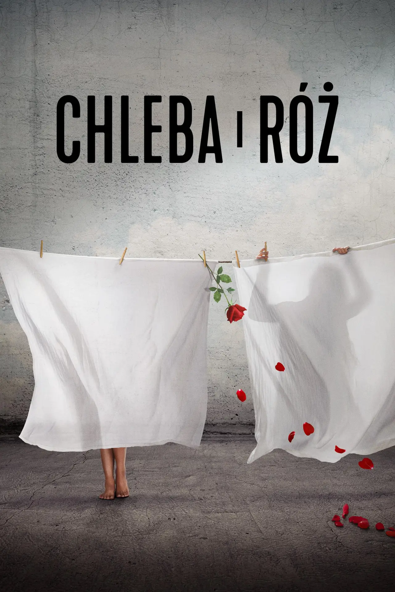 Plakat filmowy "Chleba i róż"