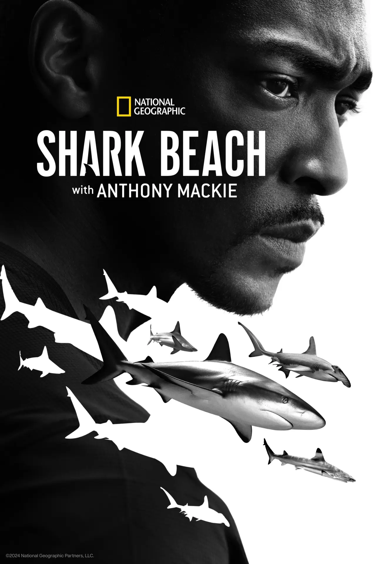 Plakat filmowy "Shark Beach with Anthony Mackie"