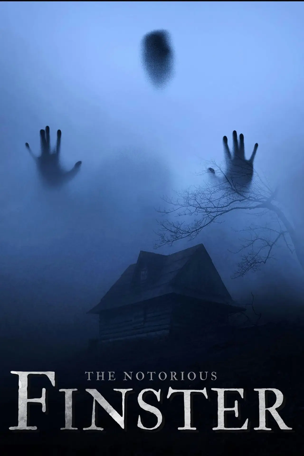 Plakat filmowy "The Notorious Finster"