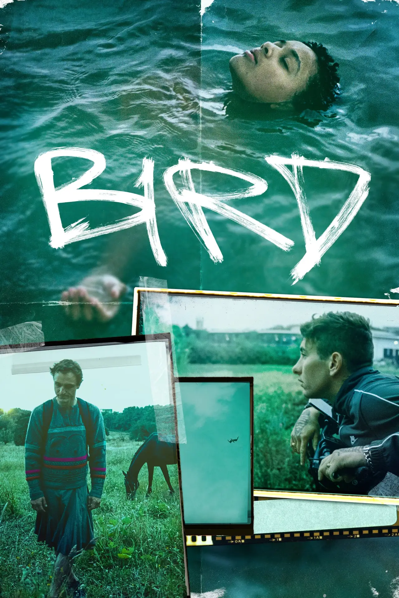 Plakat filmowy "Bird"