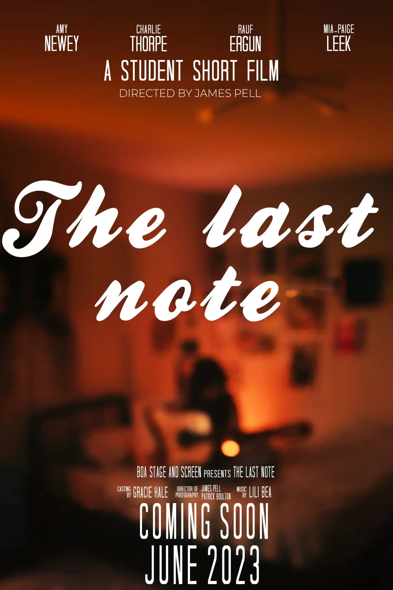 Plakat filmowy "The Last Note"