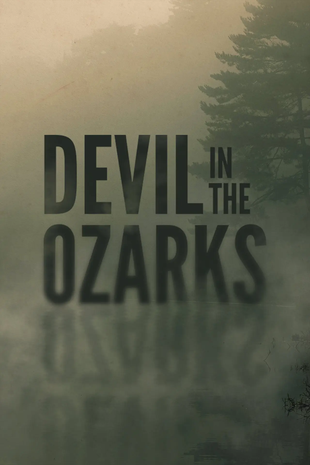 Plakat filmowy "Kim jest oprawca z Ozark?"
