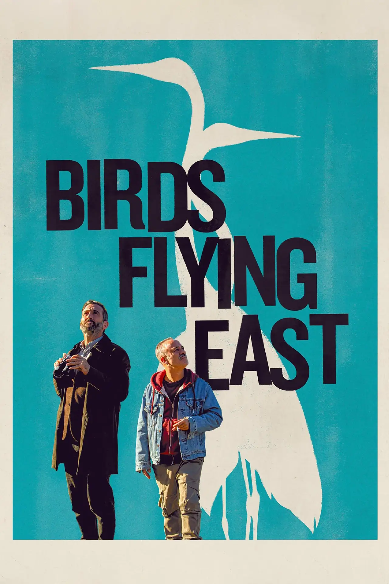 Plakat filmowy "Pájaros"
