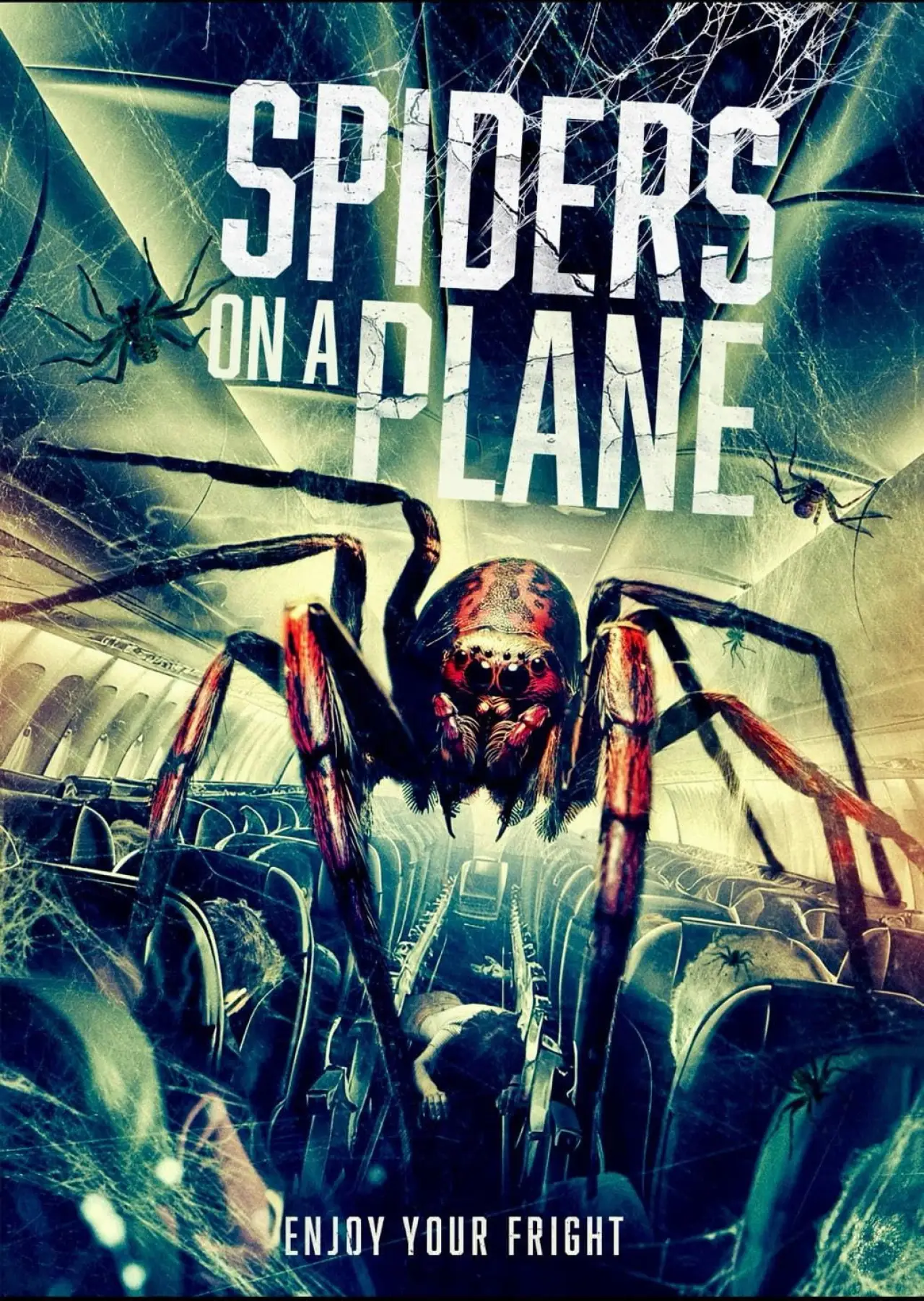 Plakat filmowy "Spiders on a Plane"