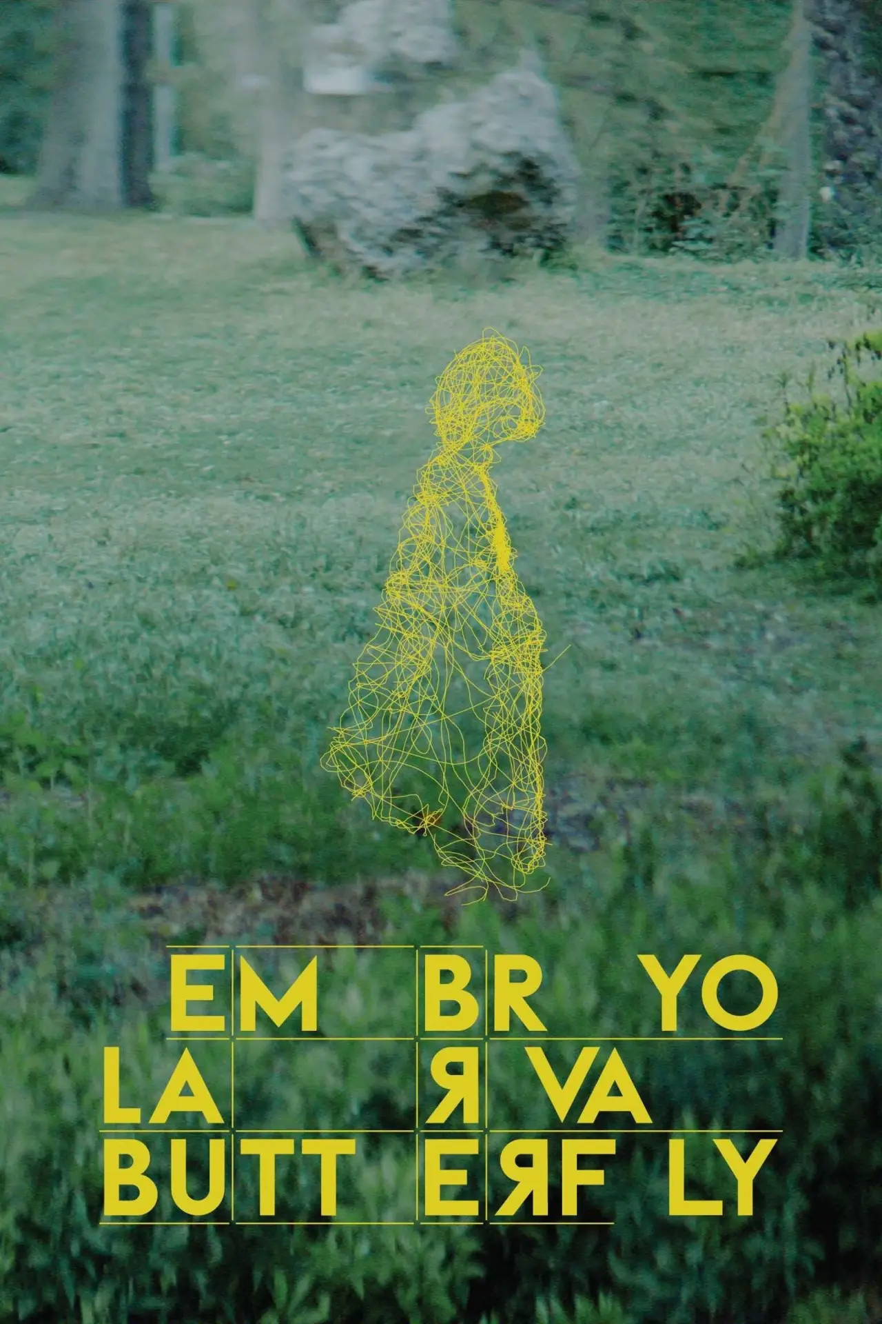 Plakat filmowy "Jajo larwa motyl"