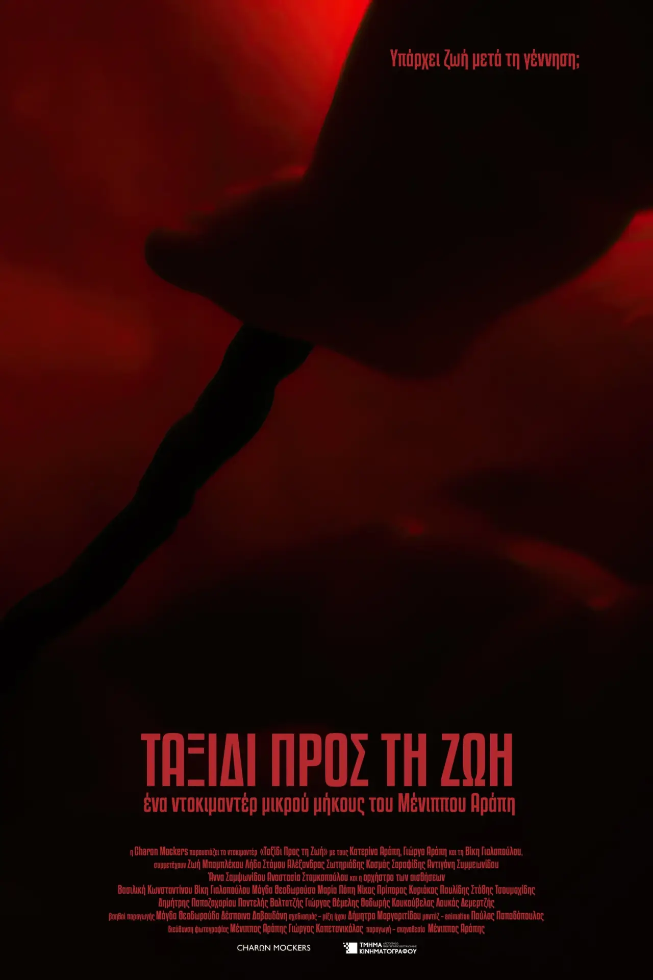 Plakat filmowy "Ταξίδι Προς Τη Ζωή"