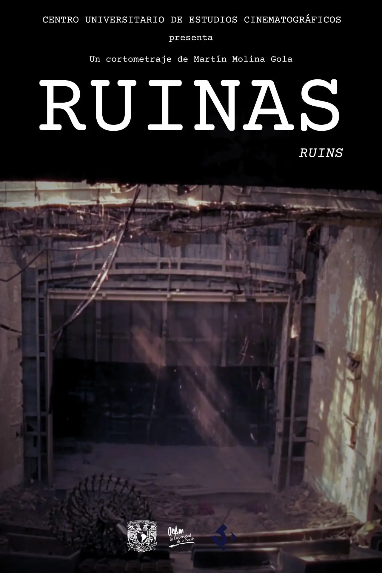 Plakat filmowy "Ruinas"