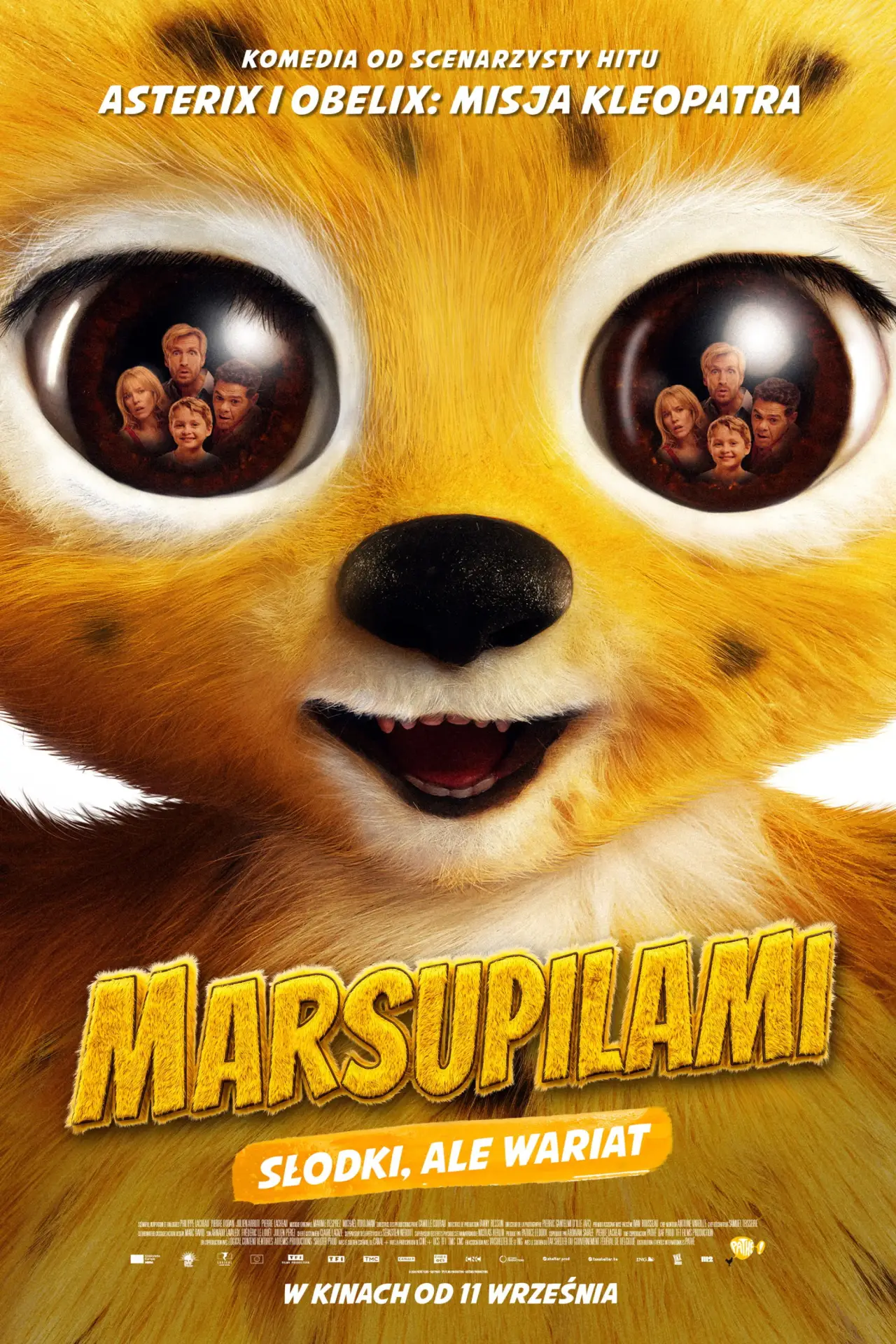 Plakat filmowy "Marsupilami"