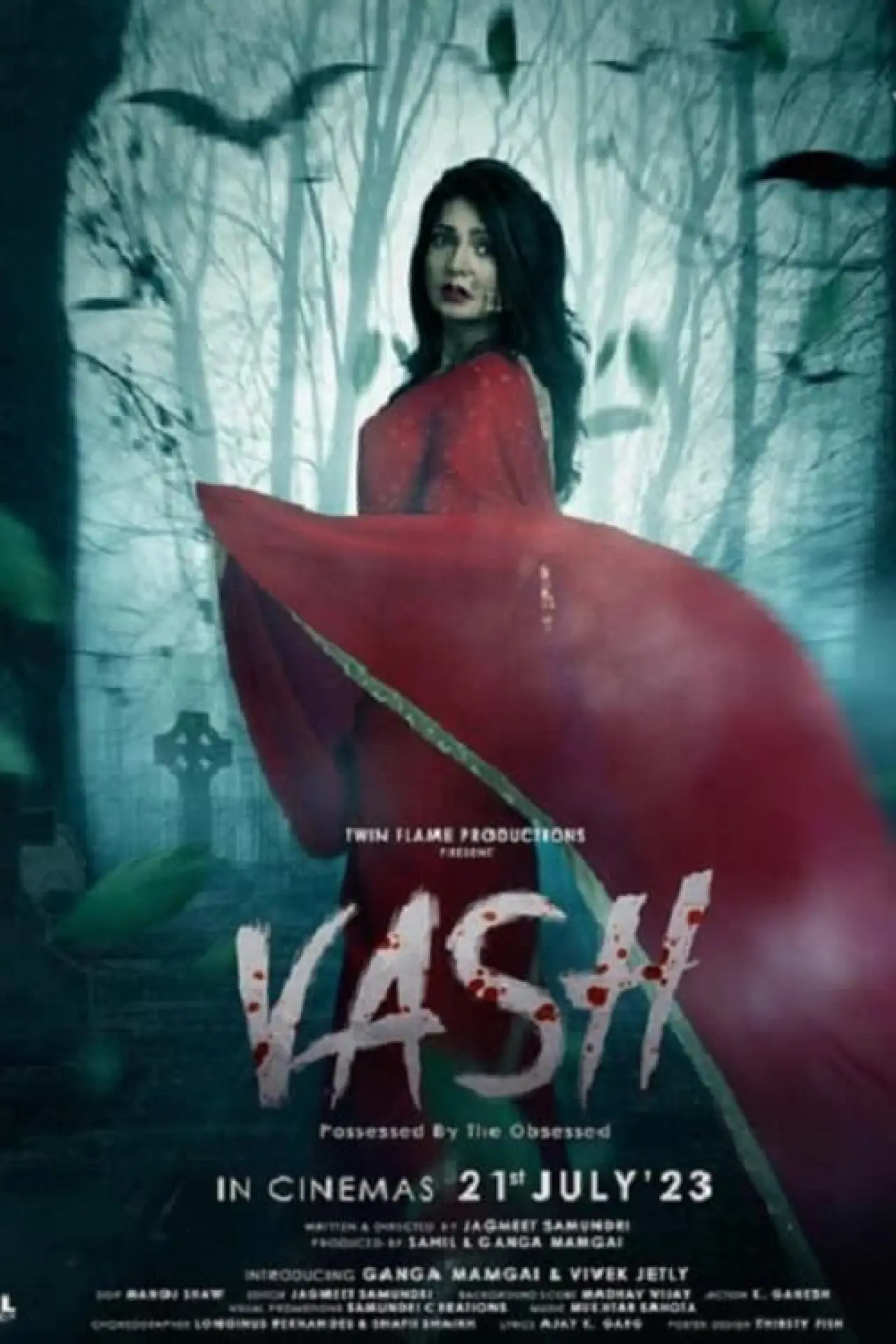 Plakat filmowy "Vash"